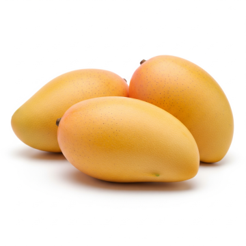 Alphonso Mango